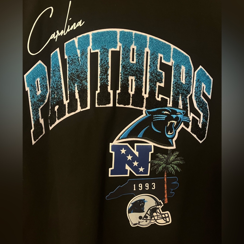 Carolina Panthers Men's Pro Standard Black Appliqued T Shirt Size XL